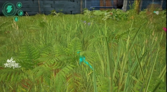 抖音直播龙岛异兽是真的吗,抖音直播龙岛异兽是否真实存在