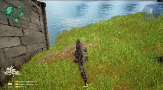 《龙岛异兽起源龙小龙》精彩解析,探索《龙岛异兽起源龙小龙》的奇幻世界与角色设定 ...