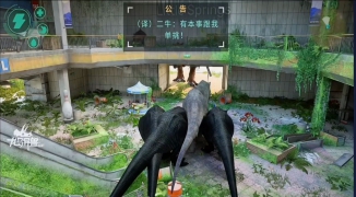 龙岛异兽开发公司揭秘,龙岛异兽是由哪家公司开发的