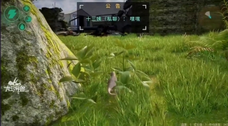 龙岛异兽起源内测资格获取指南,龙岛异兽起源内测资格申请方法与注意事项 ...