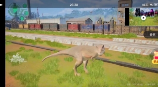 龙岛异兽视频揭秘,探索龙岛异兽的神秘世界与真实影像