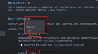 轻松搞定Steam中文设置，如何在Steam平台上更改语言为简体中文教程 ...