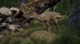 OPPO手机玩龙岛异兽攻略,OPPO手机如何流畅玩龙岛异兽游戏