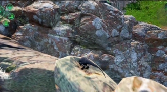 龙岛异兽官网入口在哪,龙岛异兽官网入口地址及游戏介绍