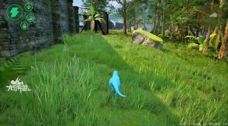 龙岛异兽用英文怎么说,龙岛异兽的英文翻译和相关表达