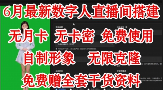 东南亚平台数字人直播入门指南-如何在东南亚电商平台使用虚拟主播进行高效带货 ...