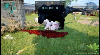 阿乐龙岛异兽视频精彩内容,探索阿乐龙岛异兽视频的神秘世界 ...