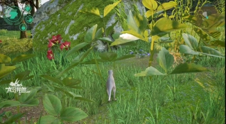 龙岛异兽英文名解析与介绍,龙岛异兽的英文名称及背景故事