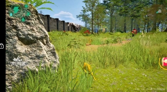 龙岛异兽故事背景揭秘,探索龙岛异兽的神秘起源与传说