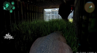 抖音主播玩的龙岛异兽叫什么,抖音龙岛异兽名称及玩法解析