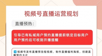 视频号直播投流基础玩法适配虚拟主播-如何利用视频号直播推广你的虚拟主播品牌 ...