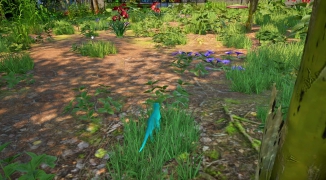 龙岛异兽英文：奇幻世界的神秘生物,探索龙岛异兽英文中的奇幻冒险故事 ...