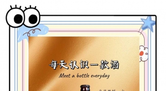 精酿啤酒数字人直播：口感层次深度解读-如何通过数字人直播完美呈现精酿啤酒的多层次 ...
