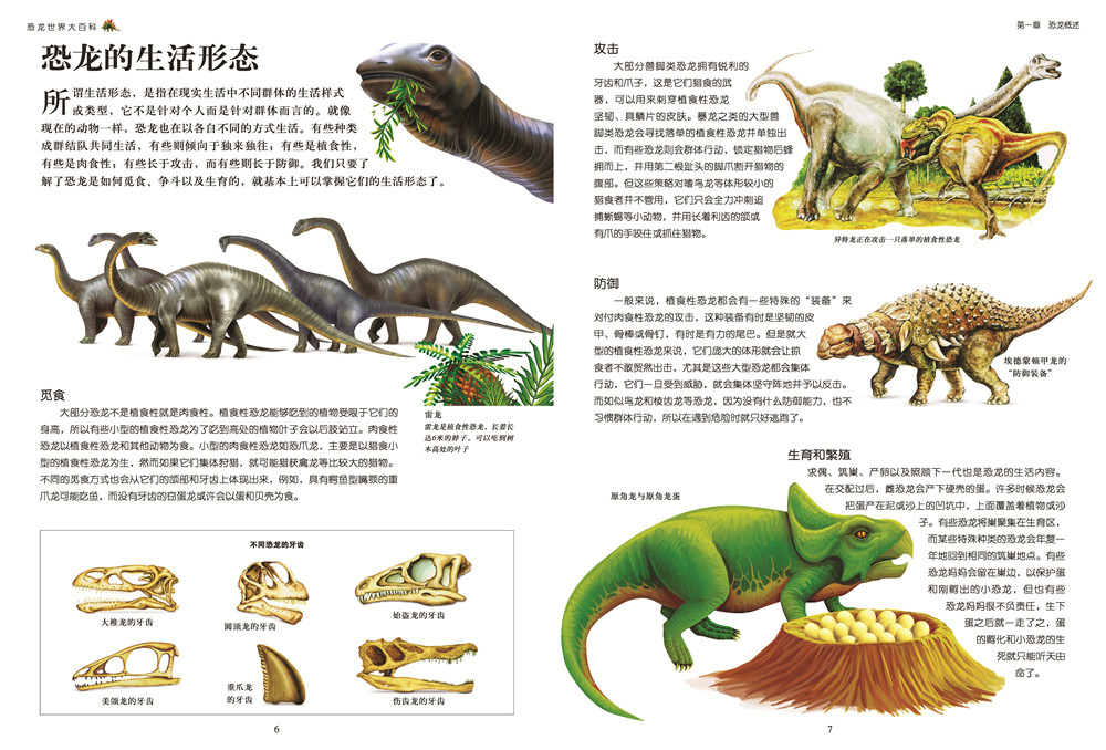 特色玩法