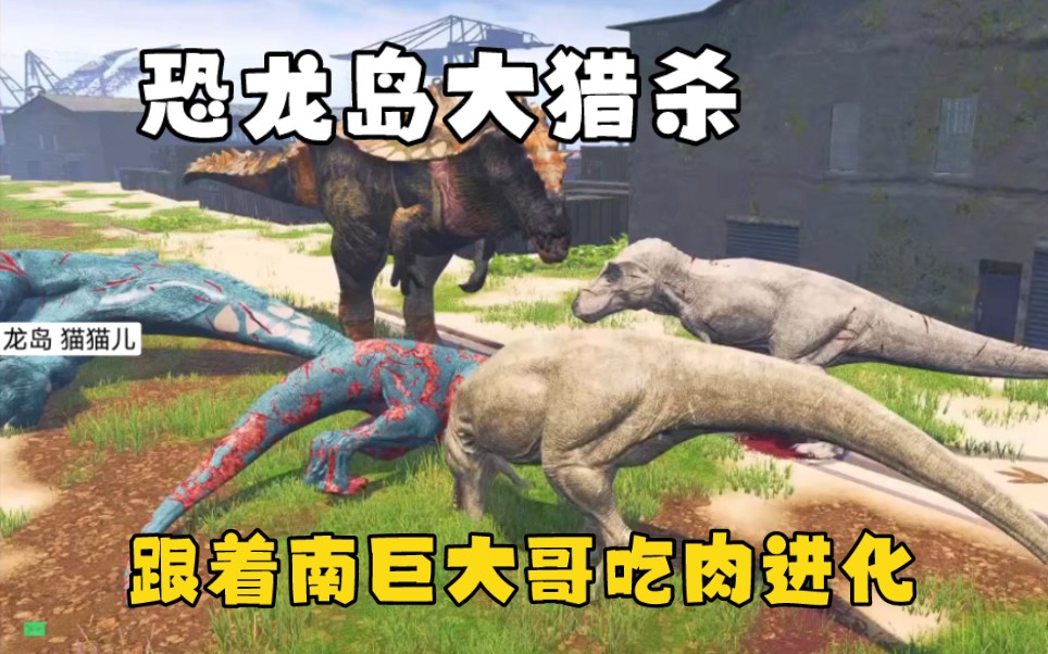 二、文章内容: