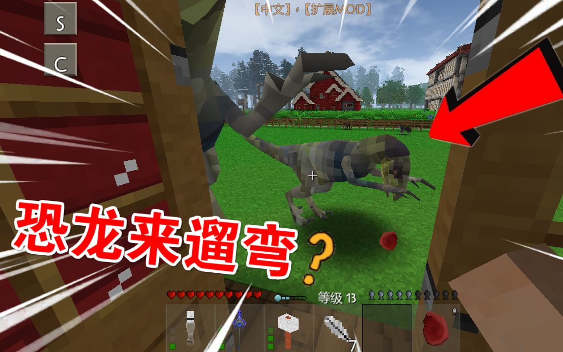 三、使用建议