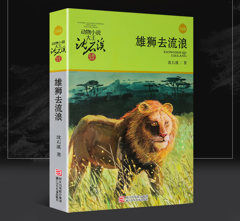 三、营销策略