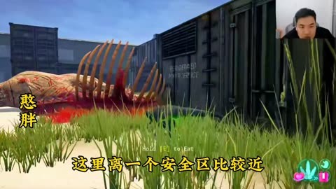 三、游戏体验