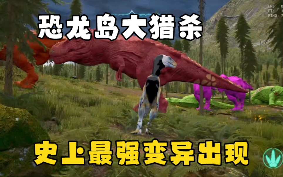 三、恐龙岛周边特色餐馆推荐