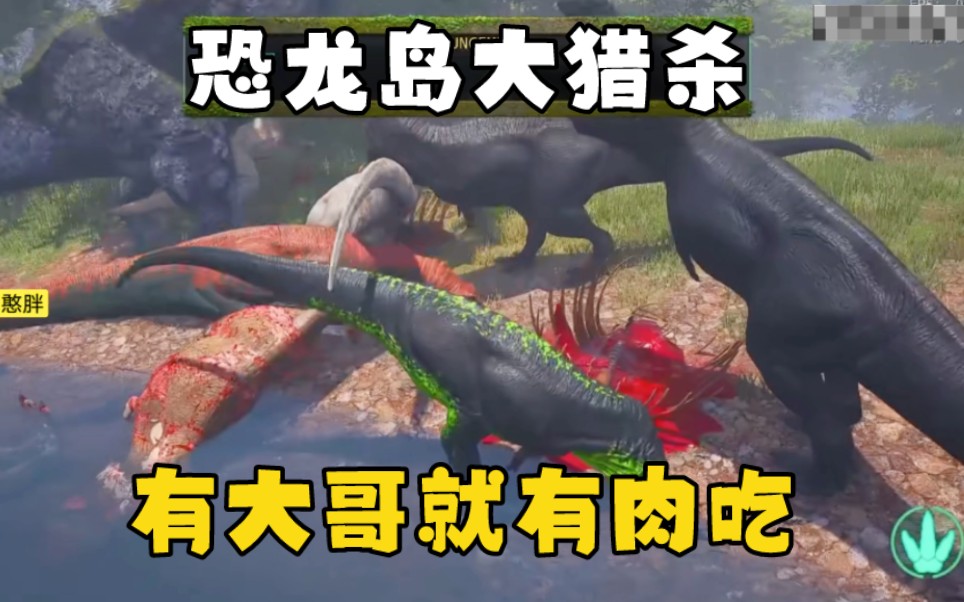 二、玩家体验