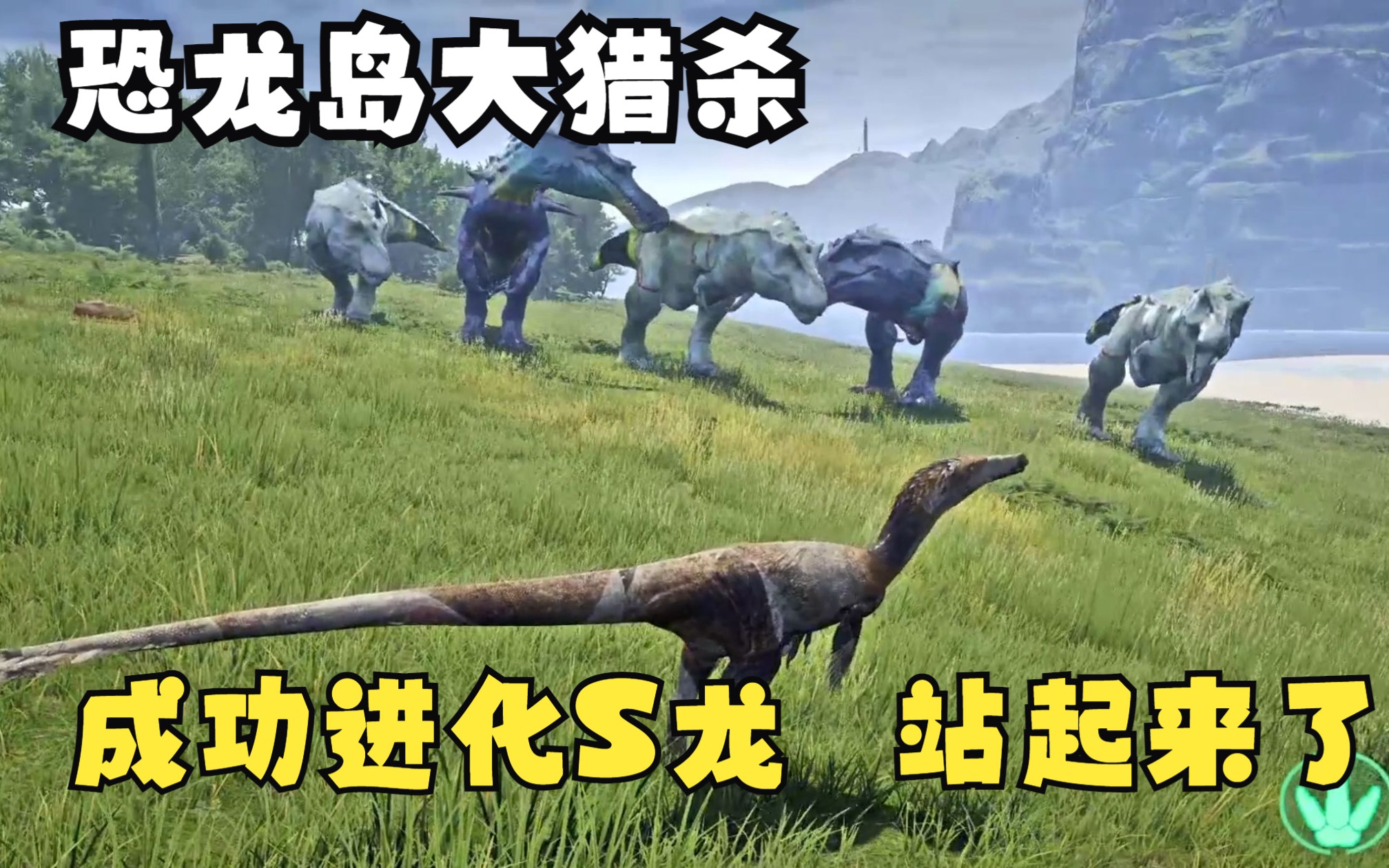 三、竞争优势