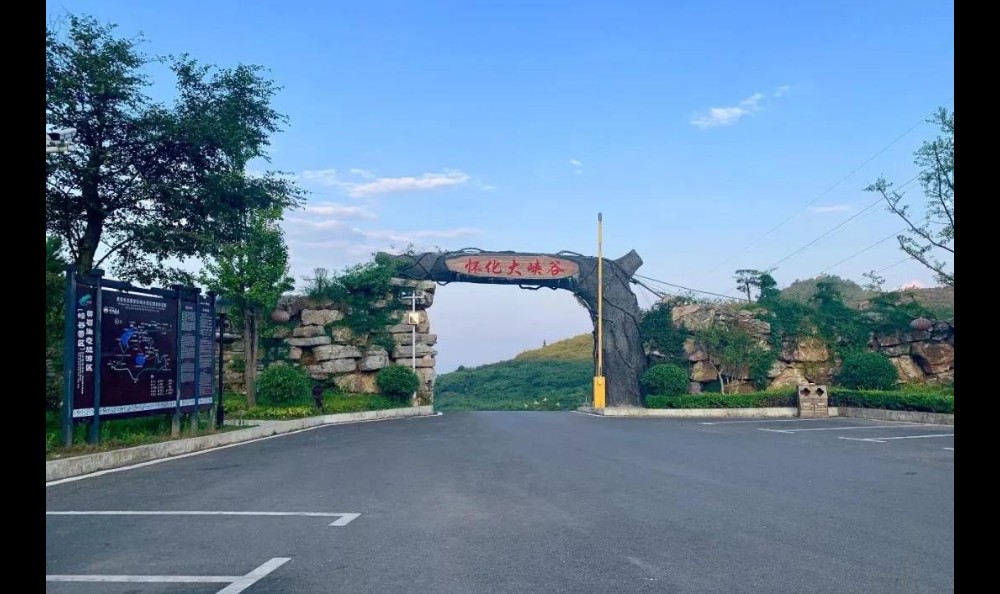 优惠政策的说明：