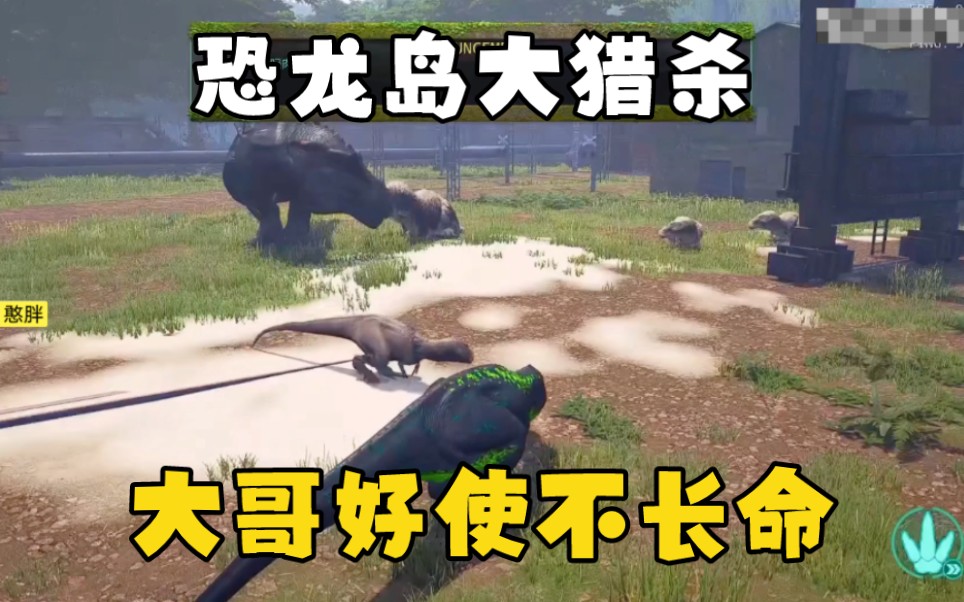 二、角色设定:
