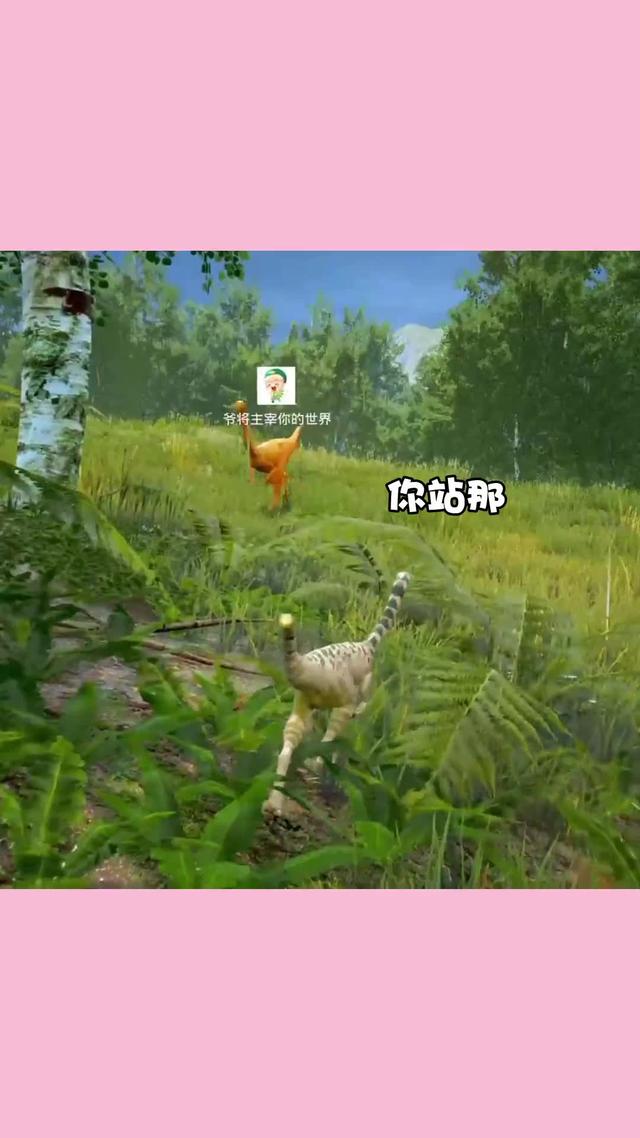 三、营销策略