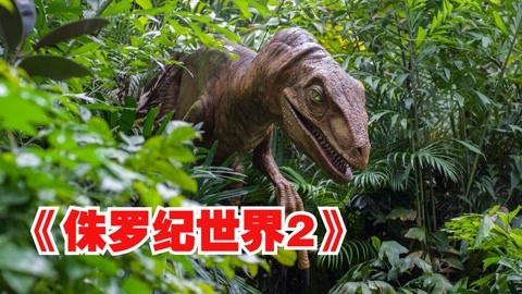 三、玩家收获