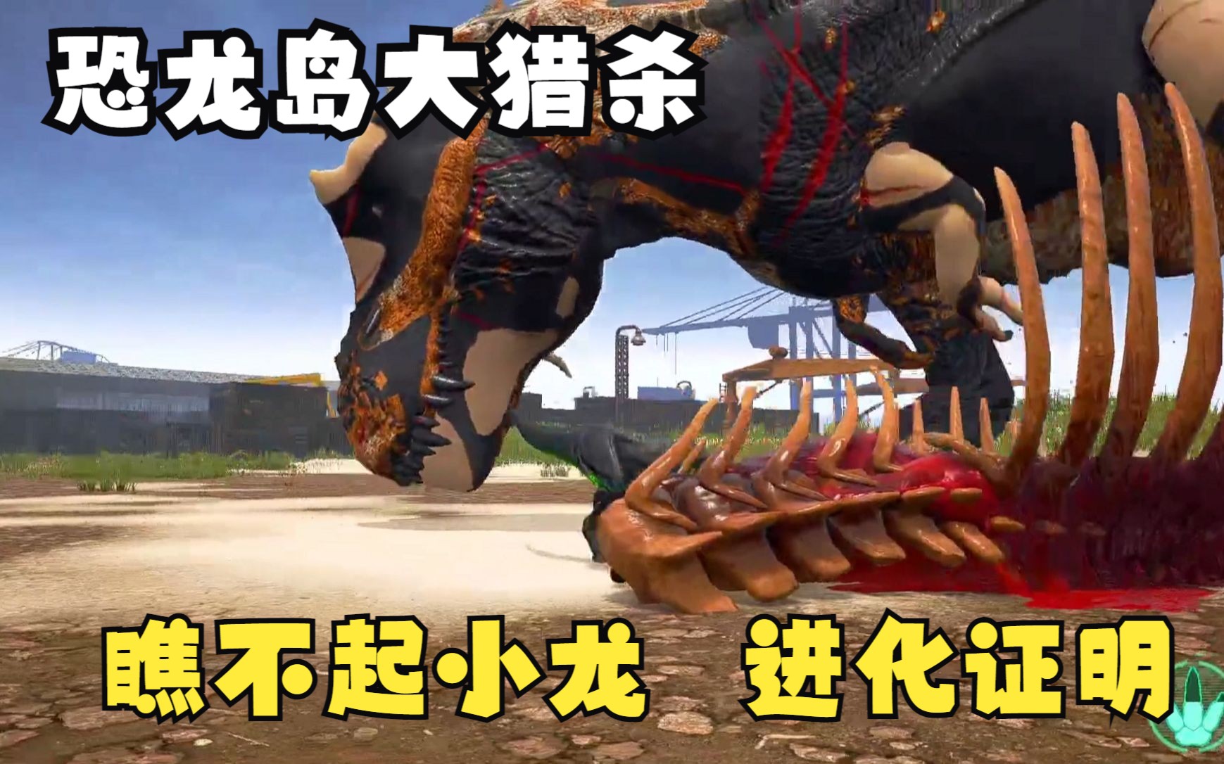 三、救援故事