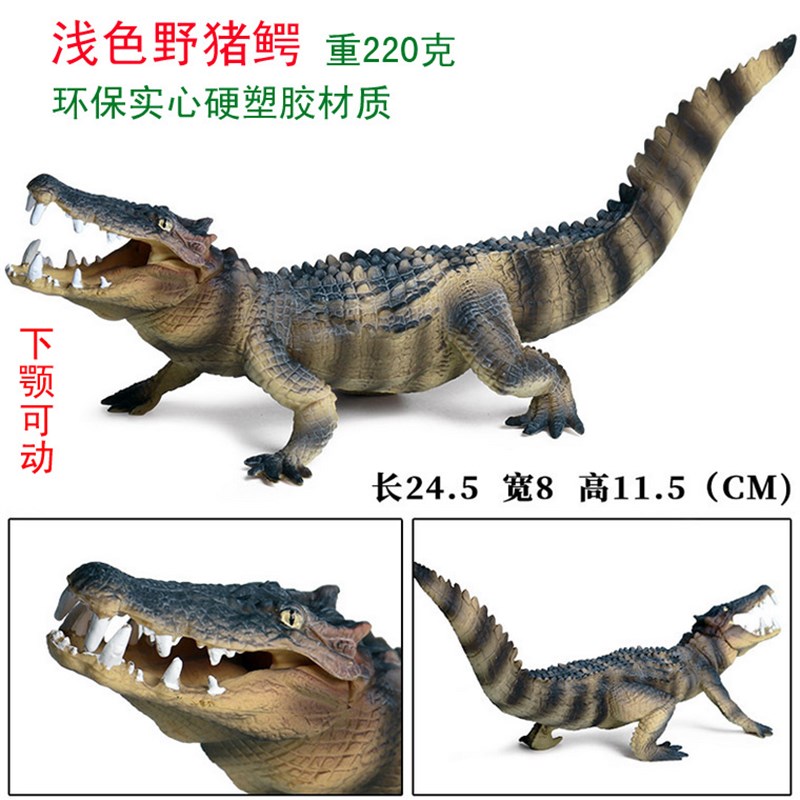 三、介绍游戏特色和亮点