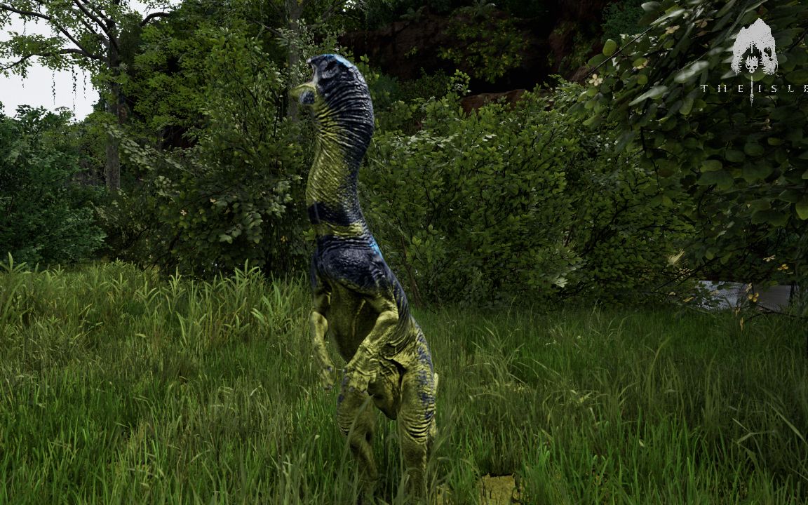 theisle橡树龙