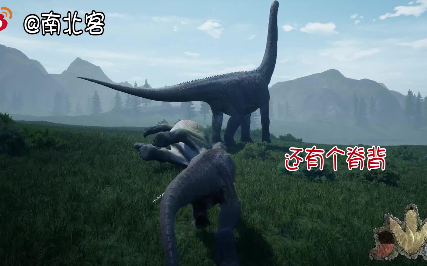 三、推荐龙种