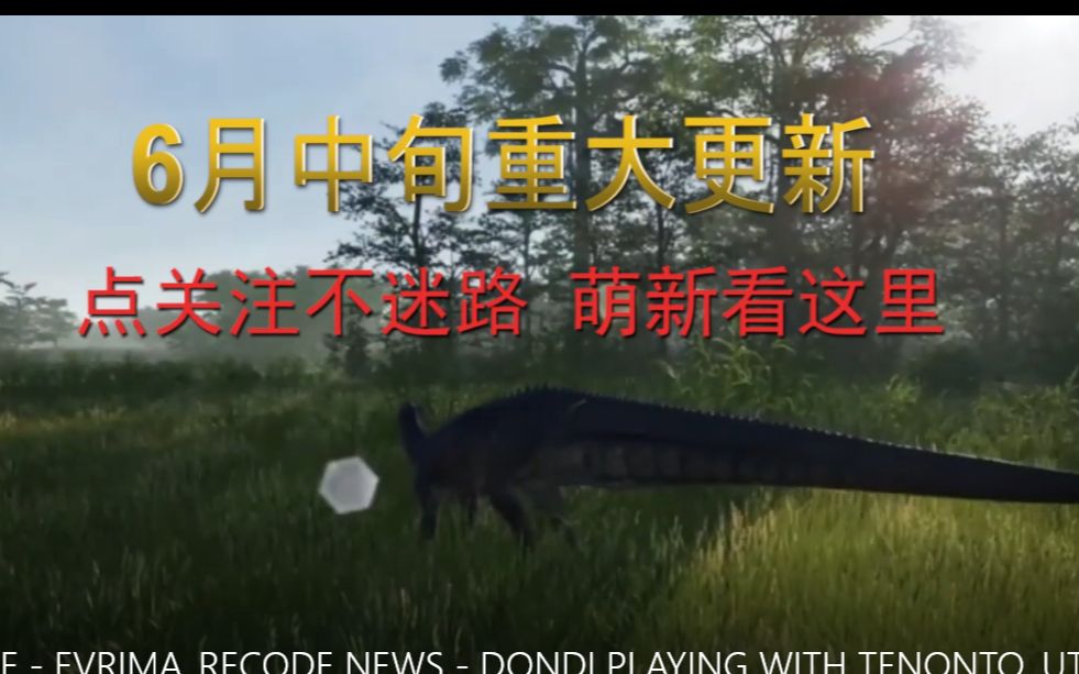 二、游戏特色