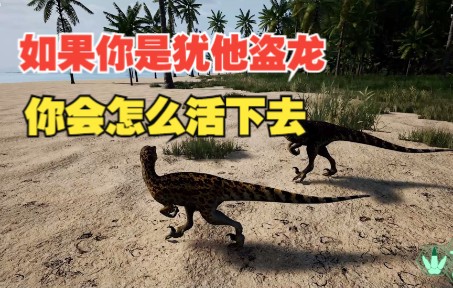 二、强调特色玩法
