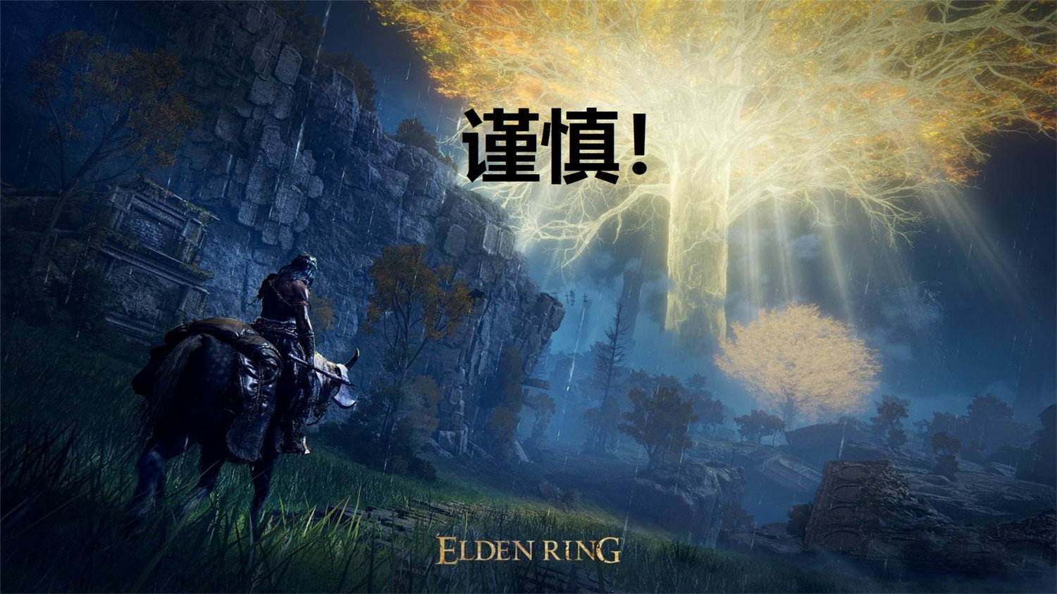官方网站识别