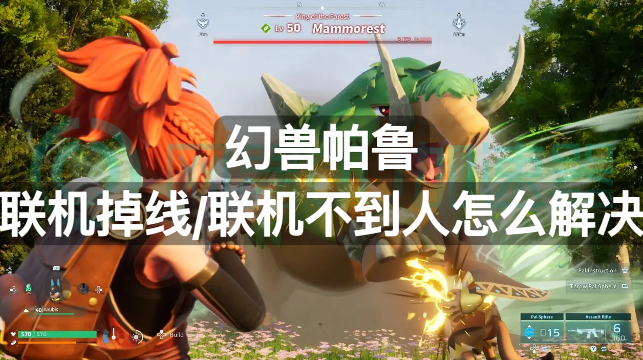 <strong>软件问题</strong>: