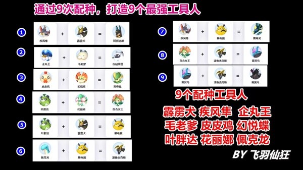 科学饲料管理