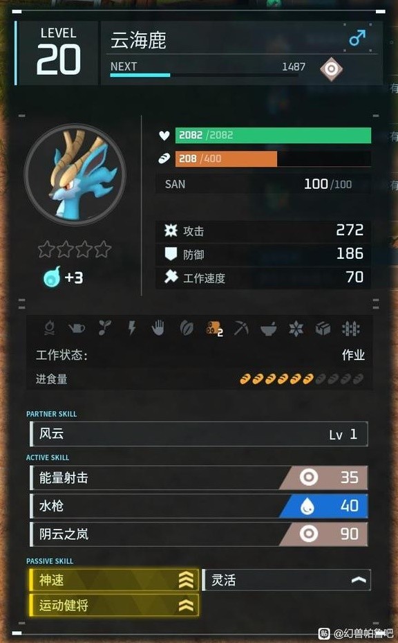 实战应用中的词条策略
