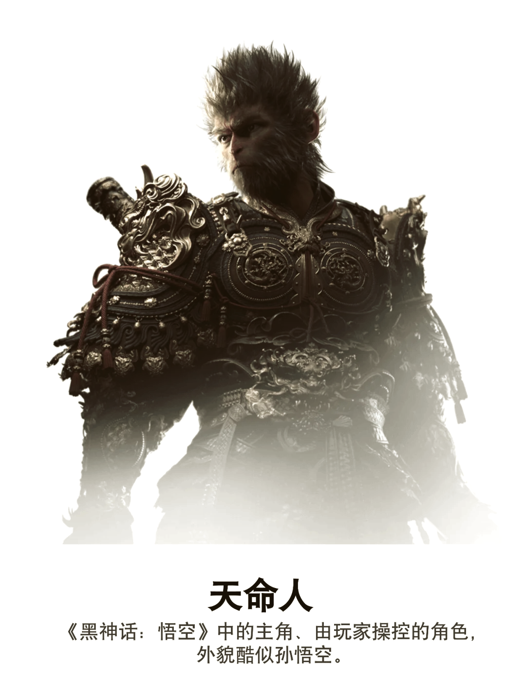 操作体验：酣畅淋漓的战斗快感