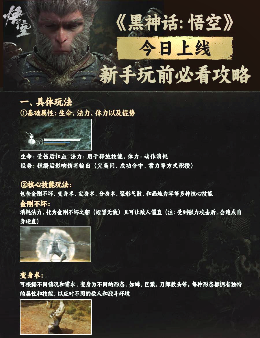 跨平台布局的可能性