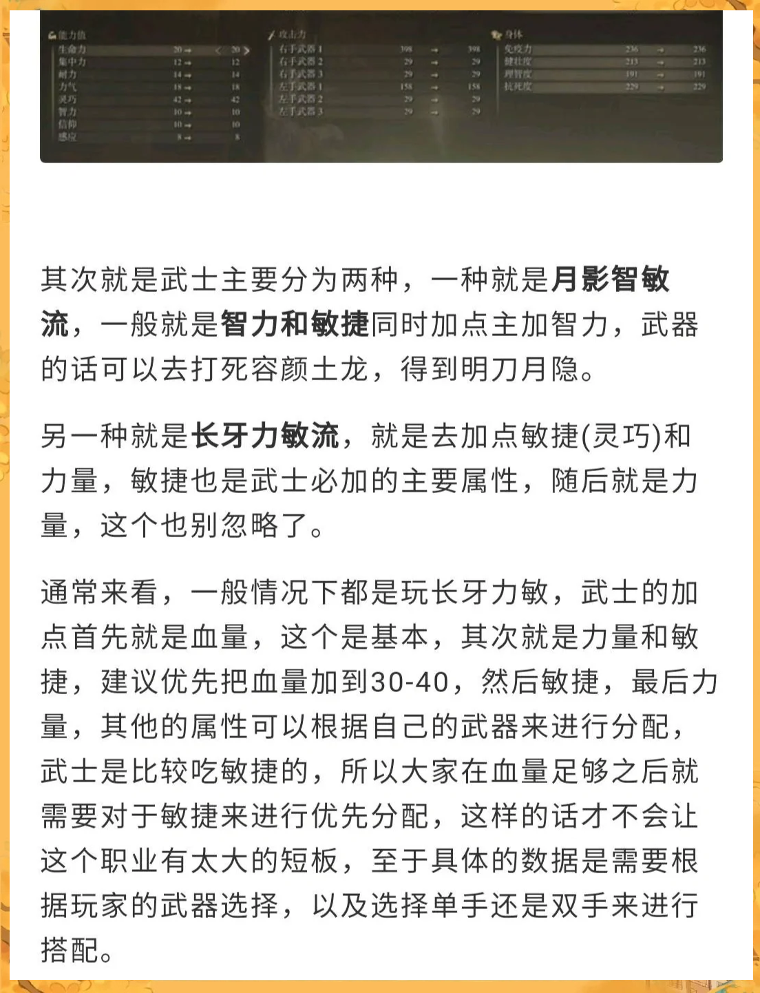 法师与术士的智慧之选