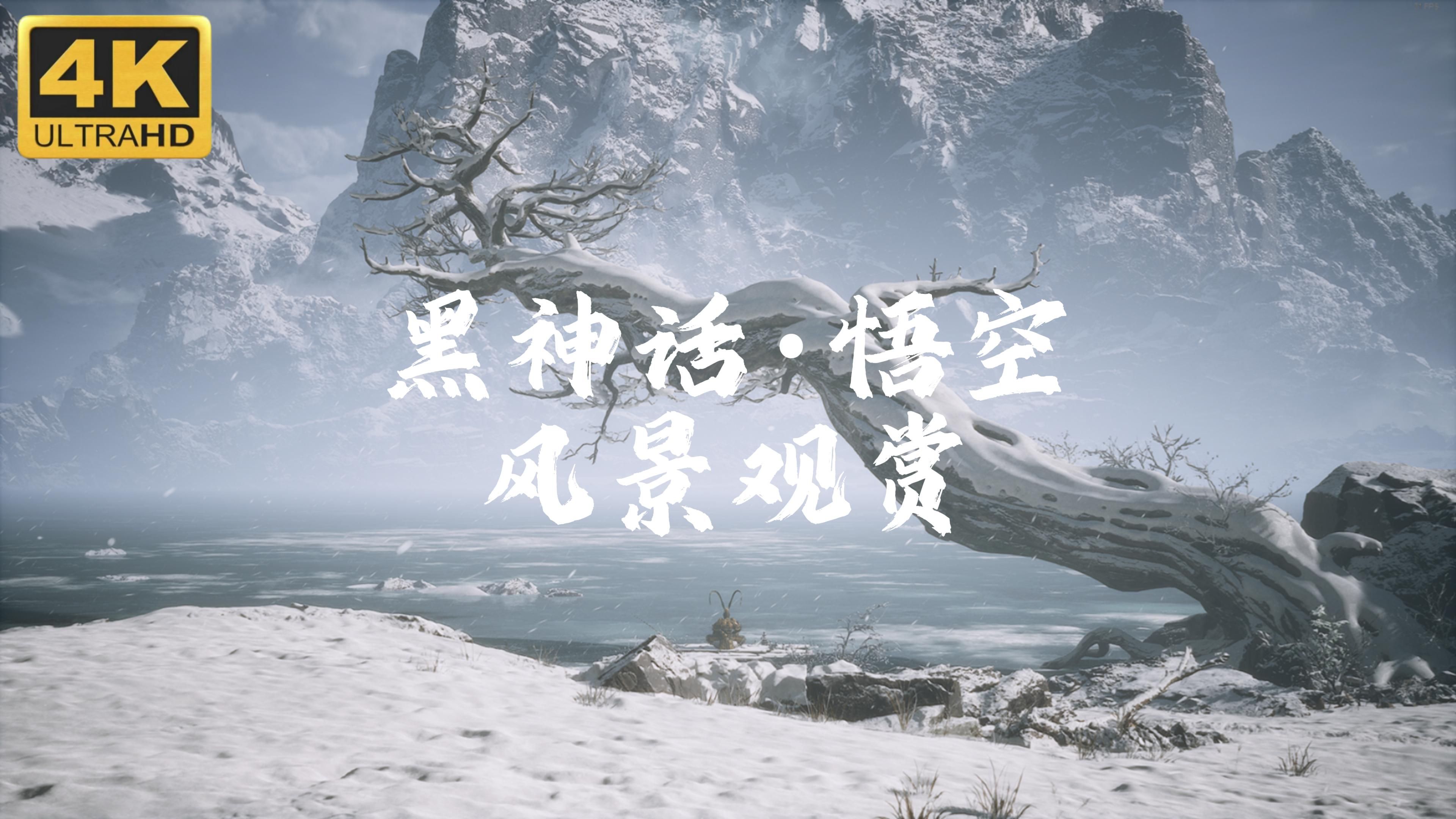 总结