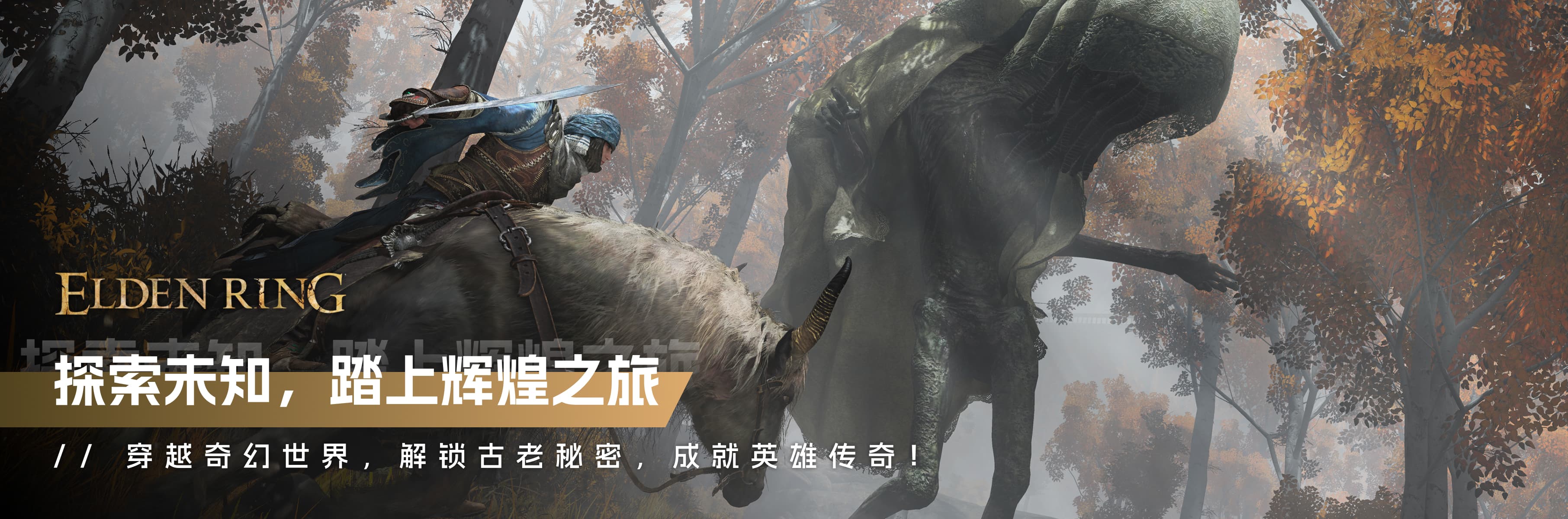 如何获取最新补丁？