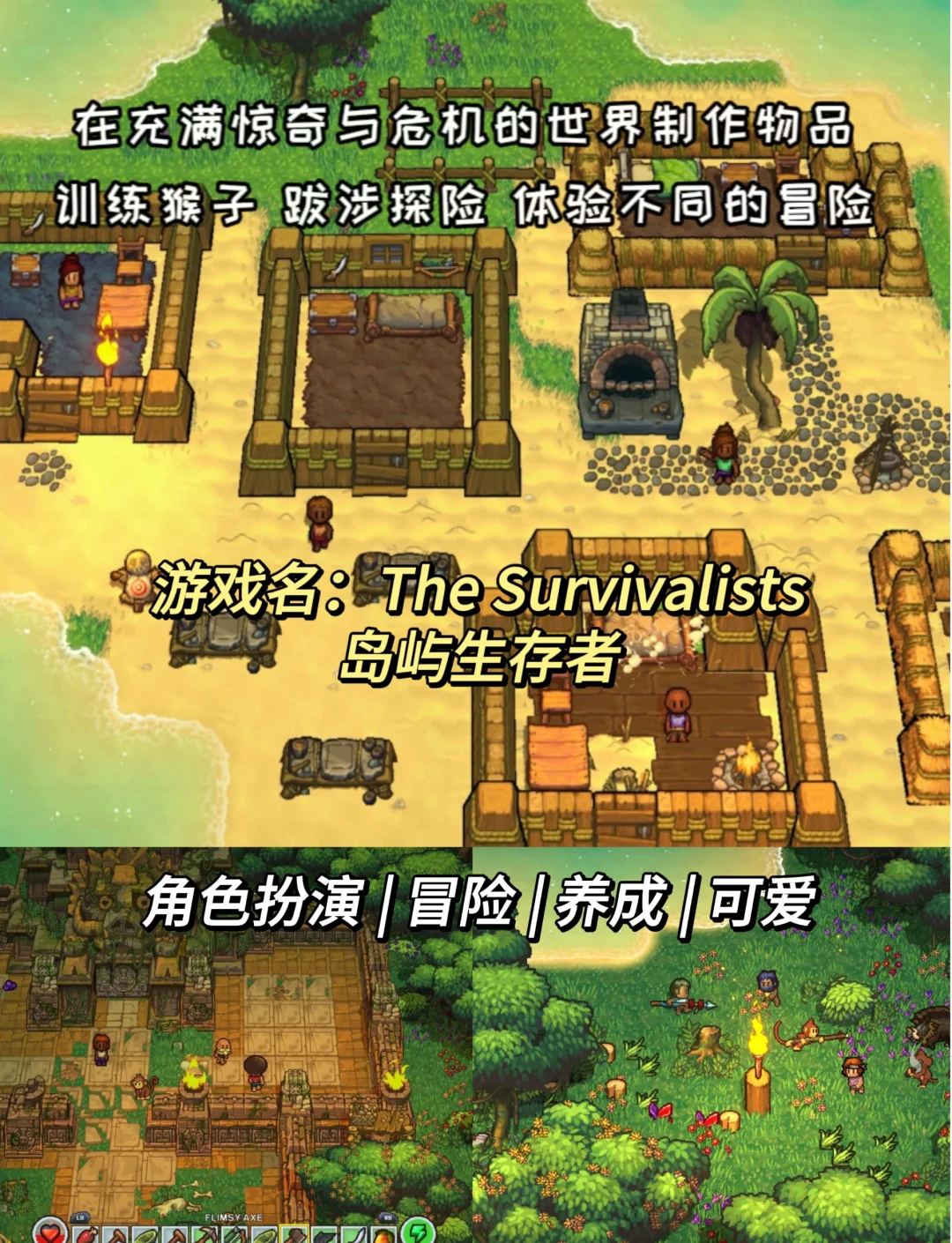 社交互动：结识志同道合的朋友