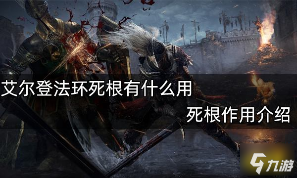 增强防御力：解锁全新潜力
