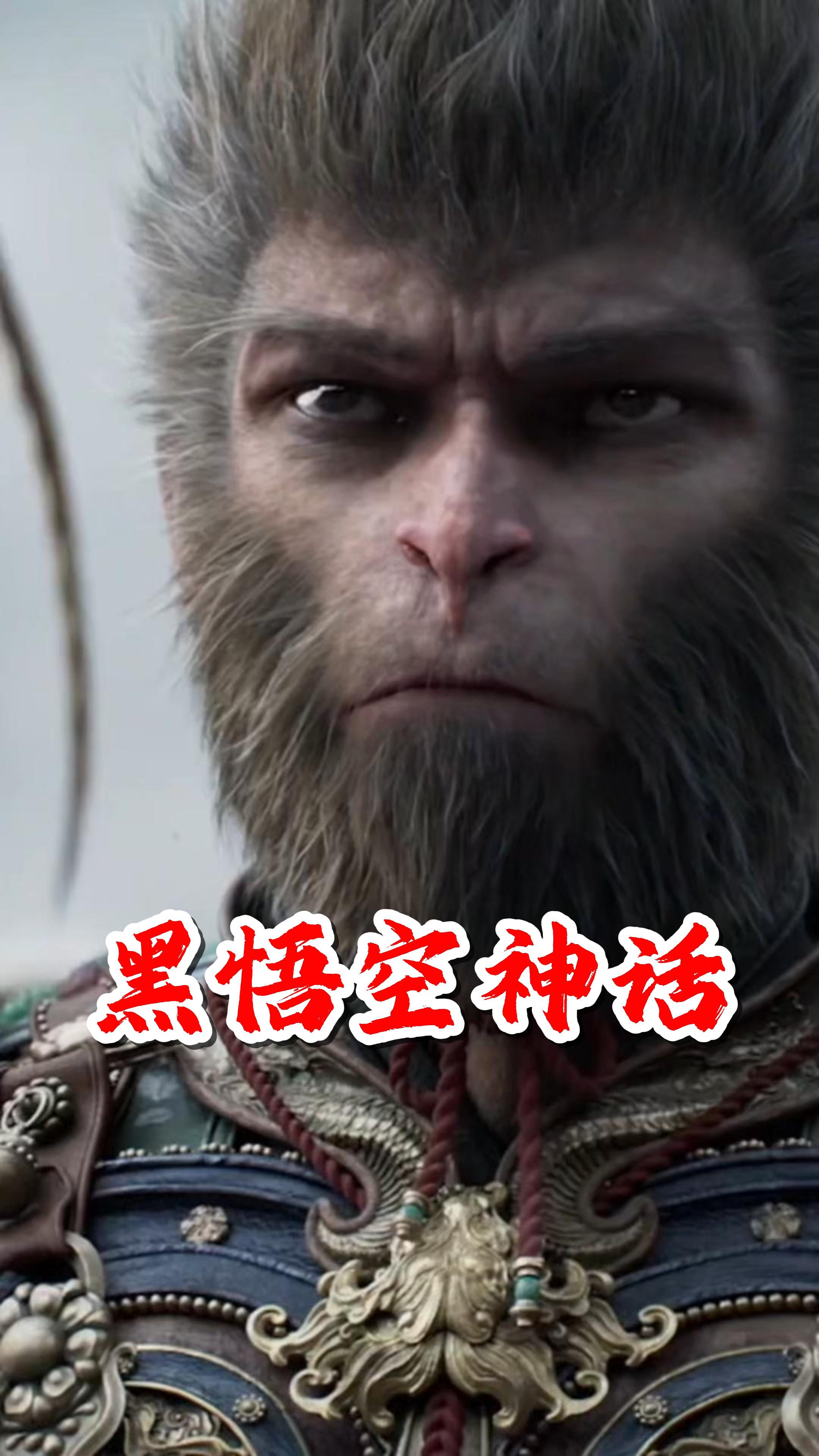 精美画质打造视觉盛宴