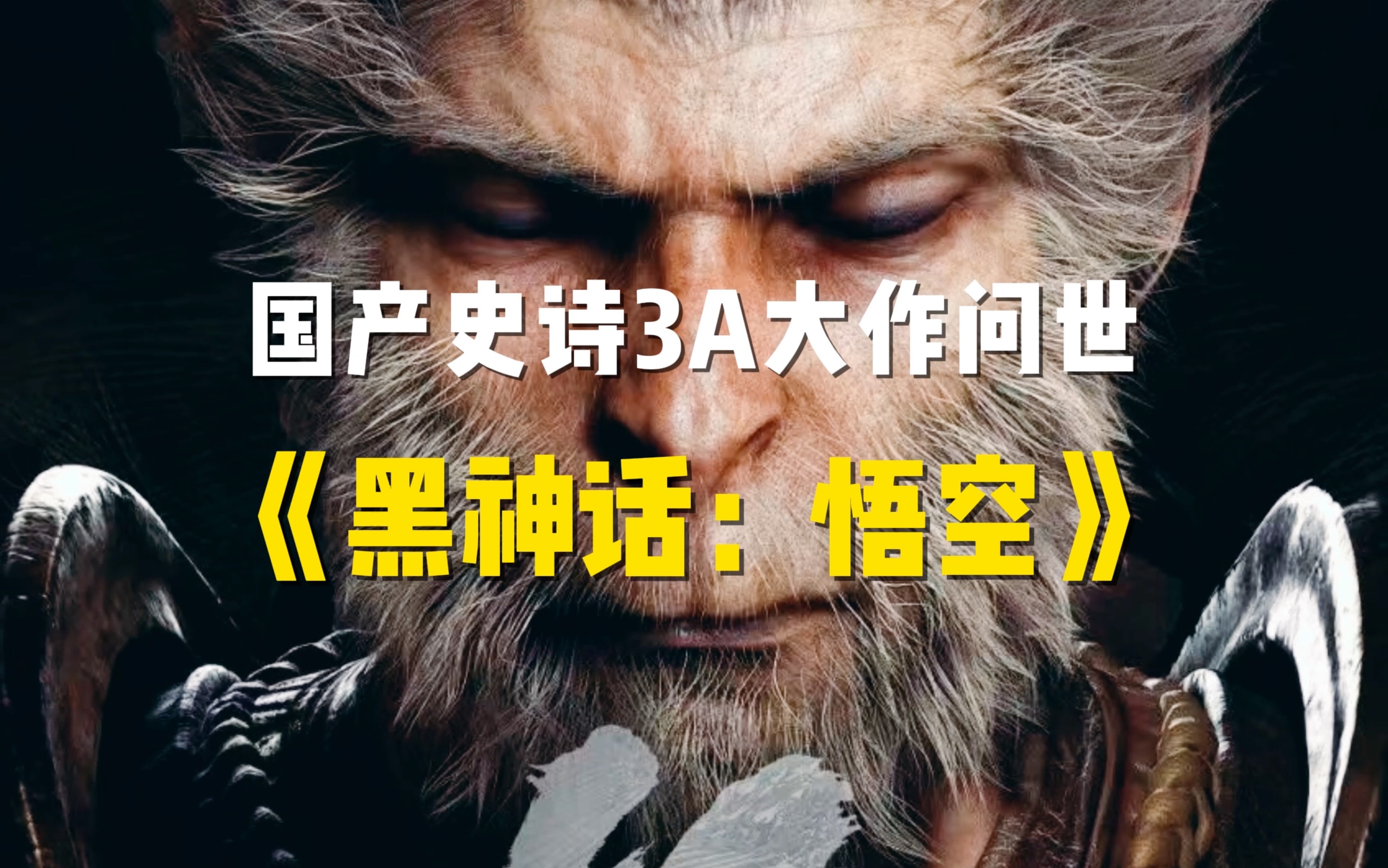 下载渠道：第一时间获取游戏