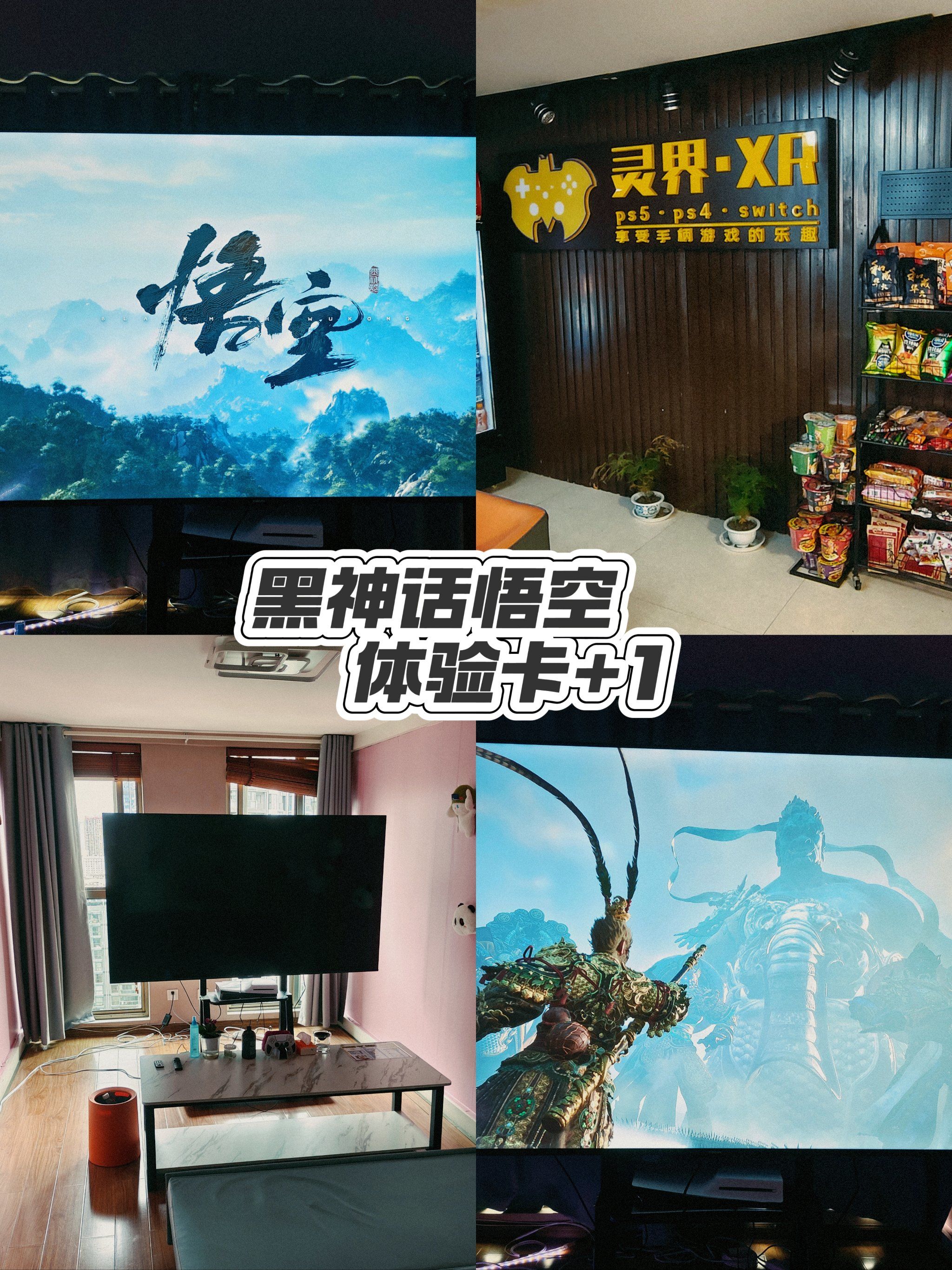 总结与展望