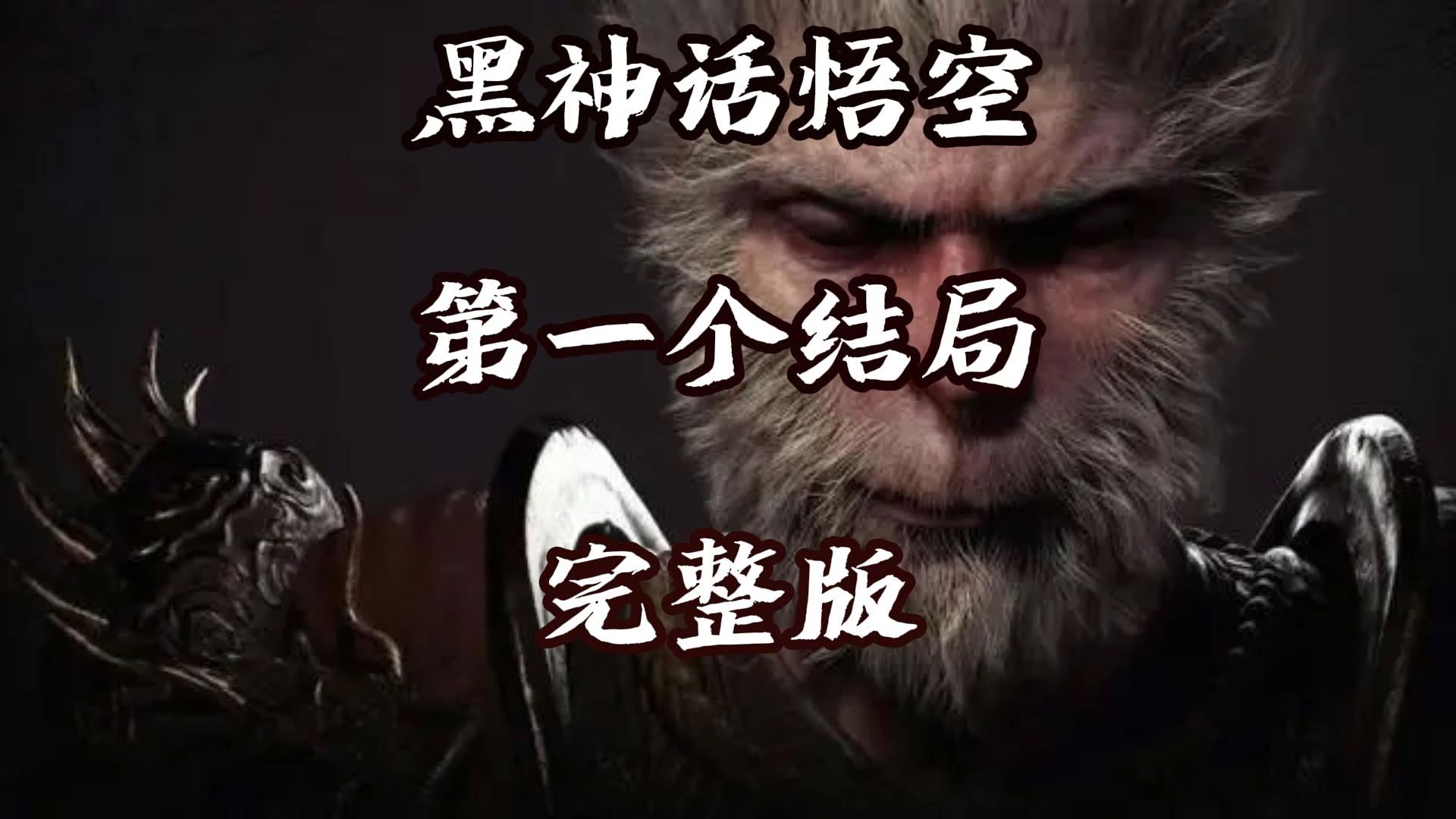玩家的共鸣与期待